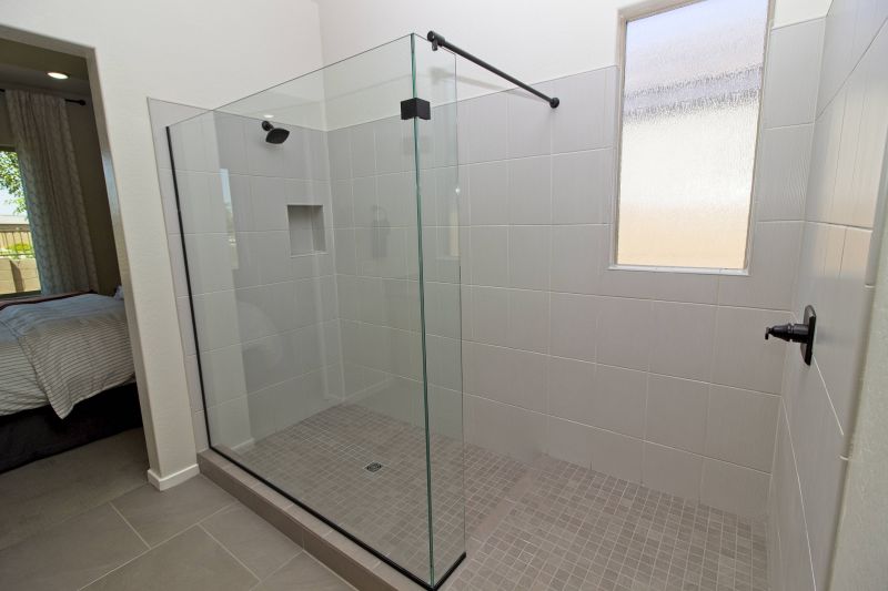 Black Frame Frameless Shower